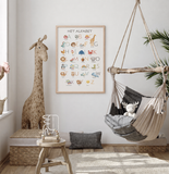 Educatief Poster Pakket – Het Alfabet & De Getallen A2 (16,5 × 23,4)