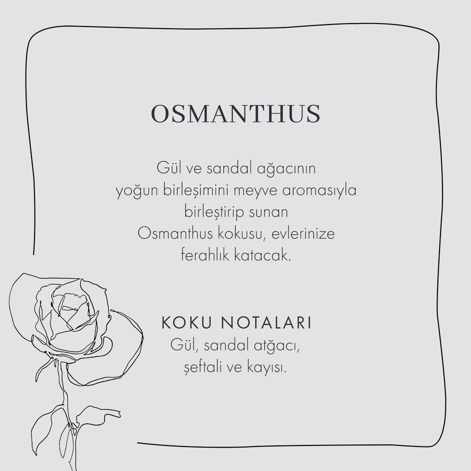 Osmanthus kamergeur (250 ml)