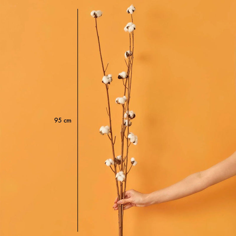 Droogbloem van 4 takken (95 cm)