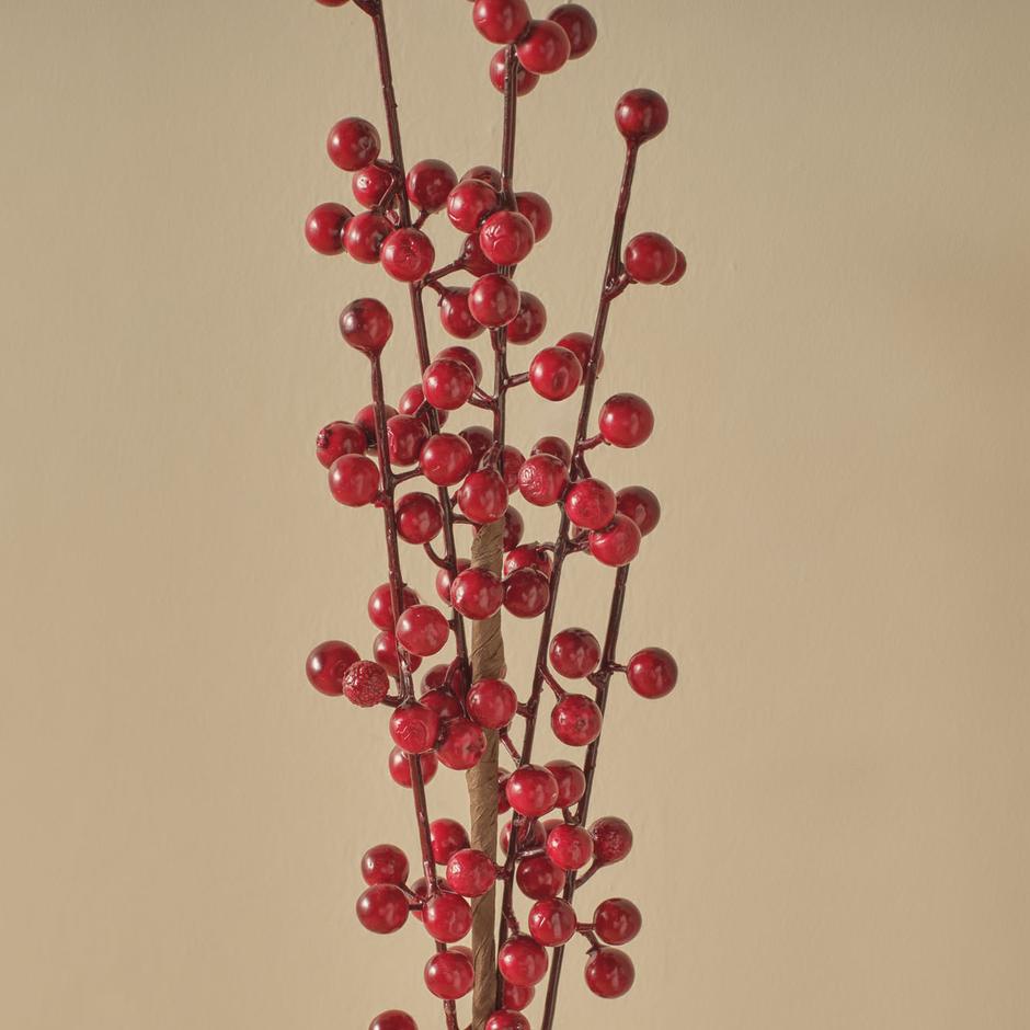 Kokina Takbloem Rood (75 cm)