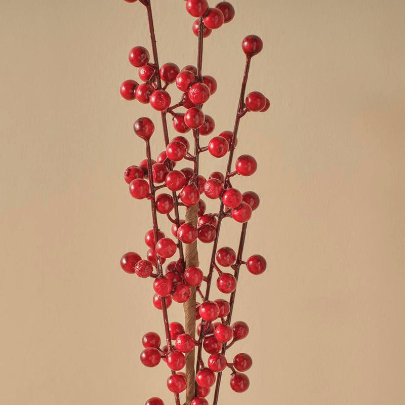 Droogbloem/Takbloem Rood (75 cm)