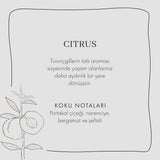 Citrus geurstokjes (250 ml)