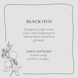 Black Oud Interieurparfum