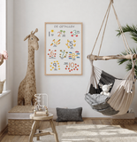 Educatief Poster Pakket – Het Alfabet & De Getallen A2 (16,5 × 23,4)