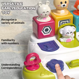 Interactief Pop-Up Dieren Speelgoed - Educatief Montessori Baby & Peuter Speelgoed - Ontwikkeling Fijne Motoriek - Vanaf 12 Maanden