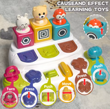 Interactief Pop-Up Dieren Speelgoed - Educatief Montessori Baby & Peuter Speelgoed - Ontwikkeling Fijne Motoriek - Vanaf 12 Maanden