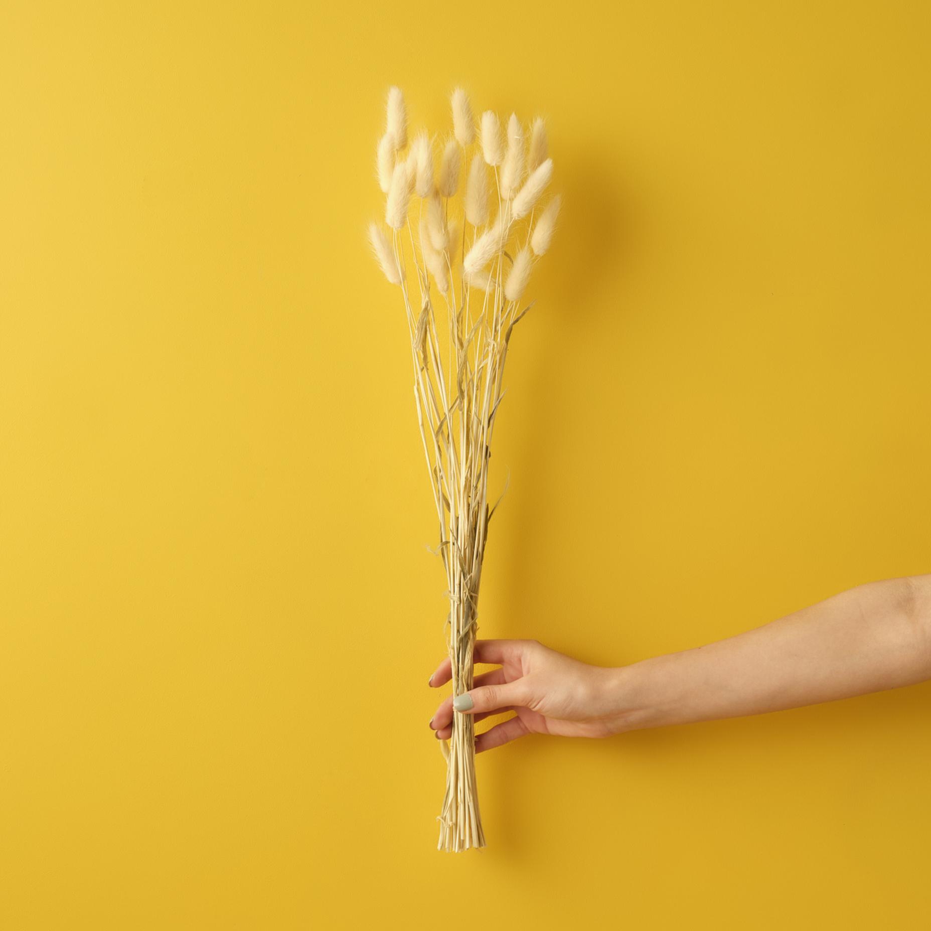 Berrow Branch Bouquet Natural (60 cm)