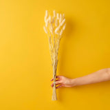 Berrow Branch Bouquet Natural (60 cm)