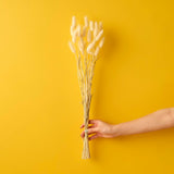 Berrow Branch Bouquet Natural (60 cm)