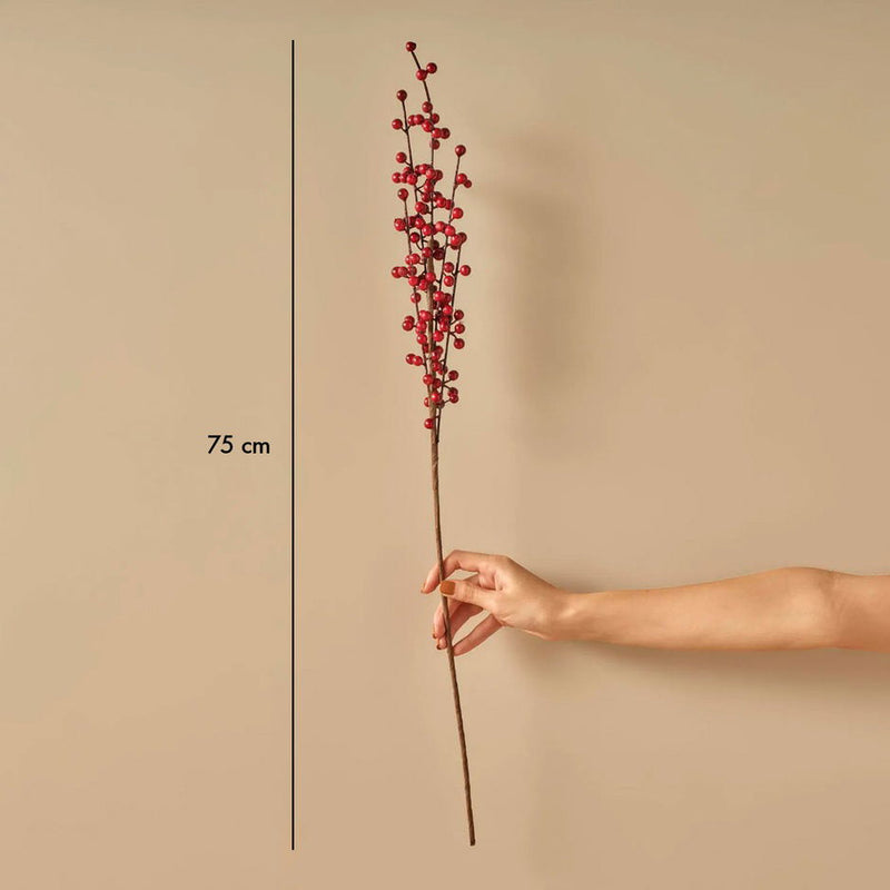 Droogbloem/Takbloem Rood (75 cm)