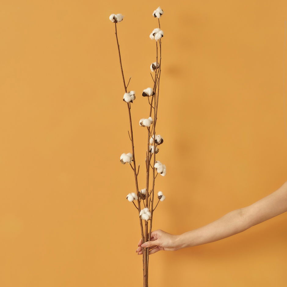 Katoenen boeket van 4 takken (95 cm)