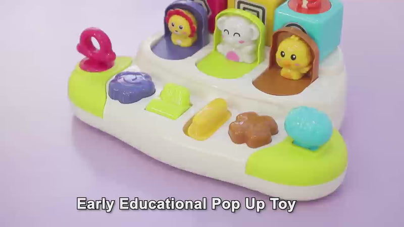 Interactief Pop-Up Dieren Speelgoed - Educatief Montessori Baby & Peuter Speelgoed - Ontwikkeling Fijne Motoriek - Vanaf 12 Maanden